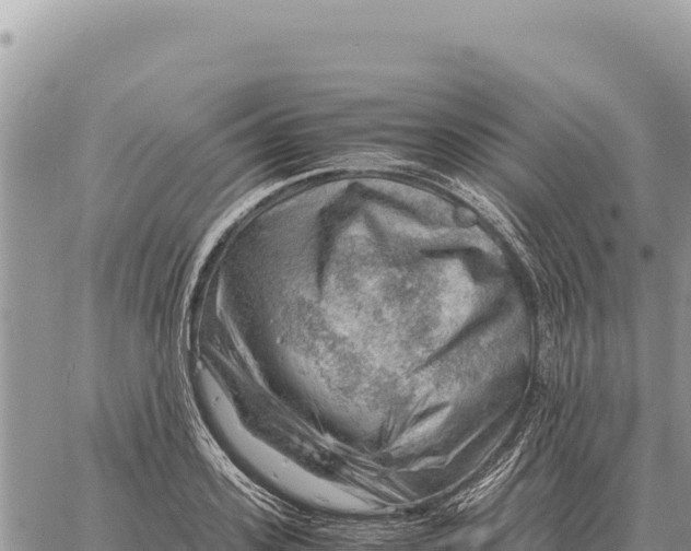 X0000061110939200512091813