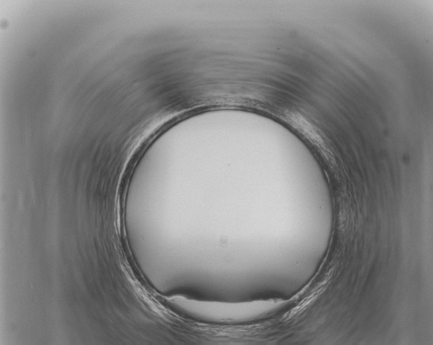 X0000061110940200512091813