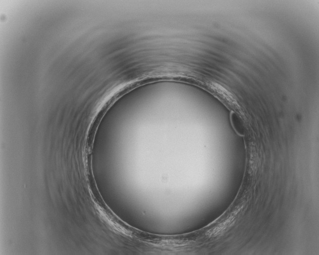 X0000061110942200512091813