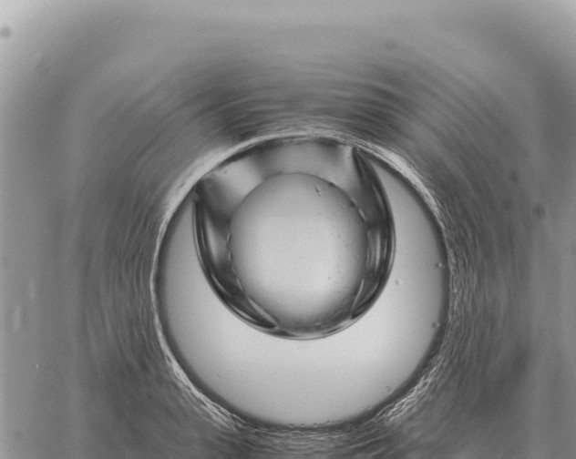 X0000061110943200512091813