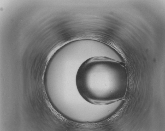 X0000061110944200512091813