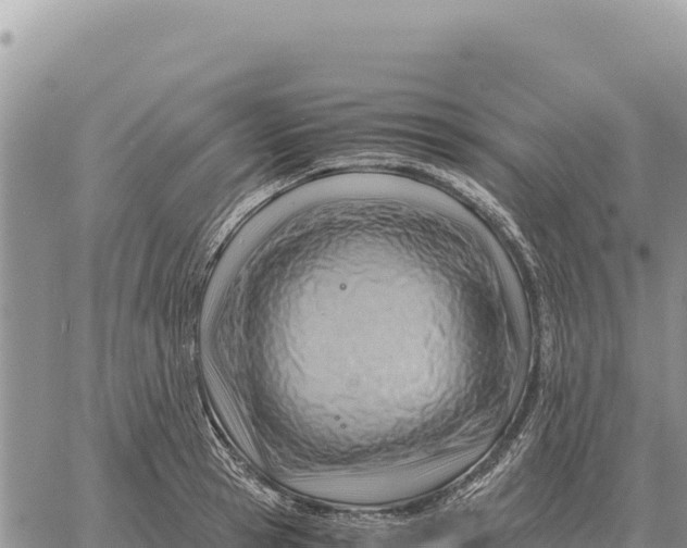 X0000061110945200512091813