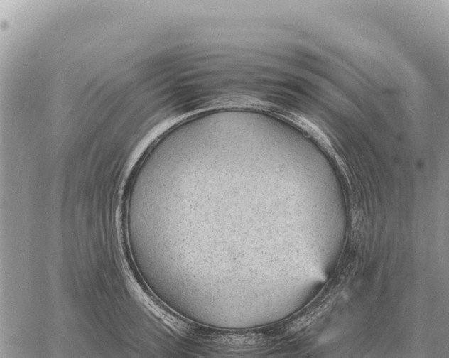 X0000061110947200512091814