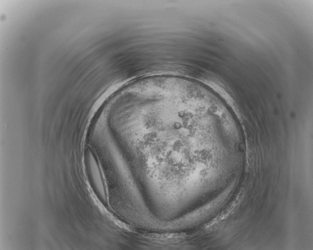 X0000061110949200512091814