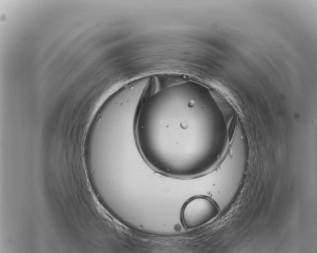 X0000061110950200512091814