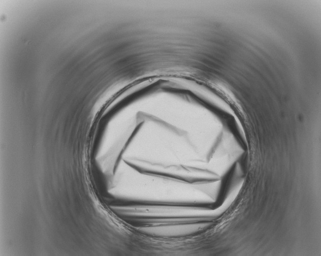 X0000061110952200512091814