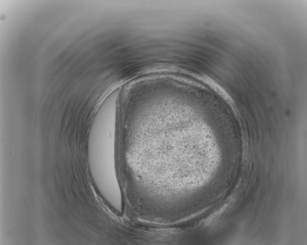 X0000061110953200512091814