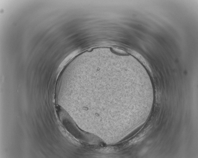 X0000061110954200512091814