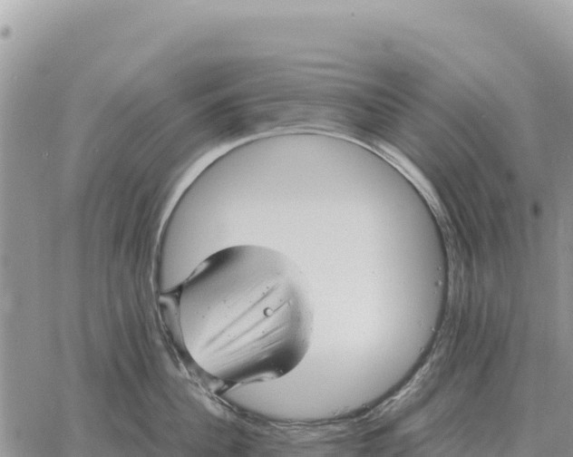 X0000061110956200512091814