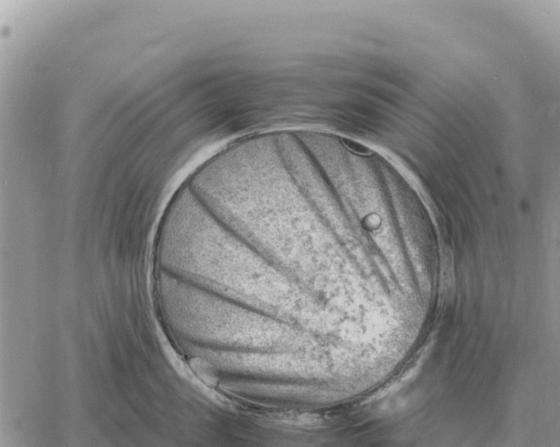 X0000061110957200512091814