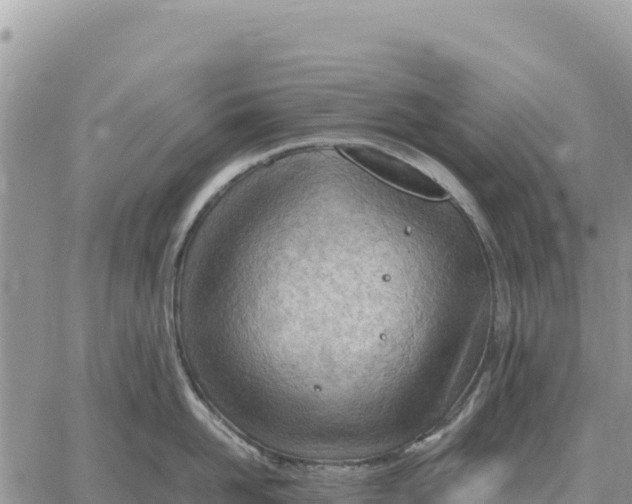 X0000061110958200512091814