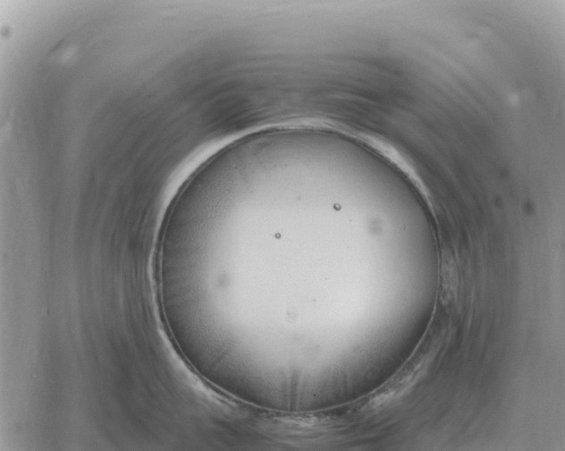 X0000061110959200512091814