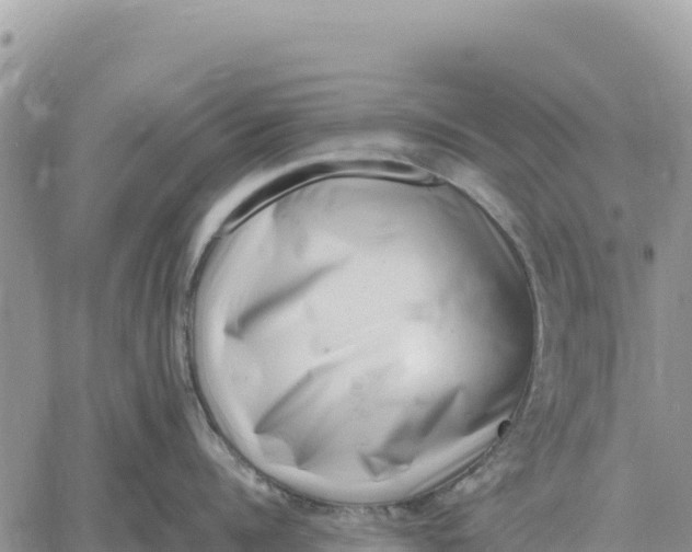 X0000061110960200512091814