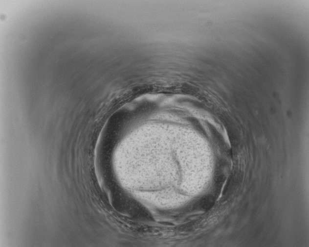 X0000061110961200512091813