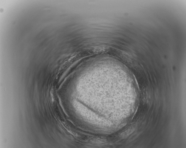 X0000061110962200512091813