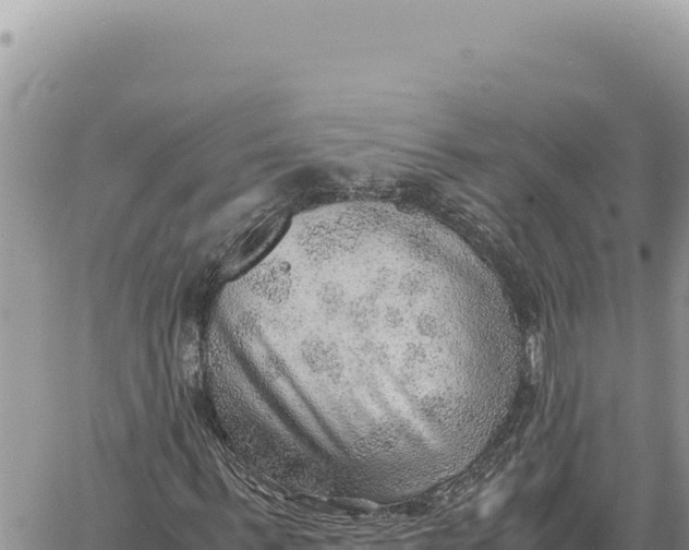 X0000061110963200512091813