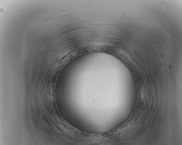 X0000061110964200512091813