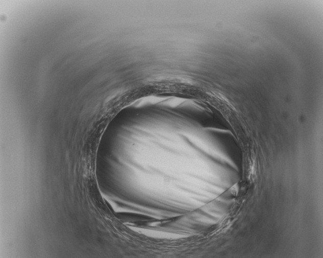 X0000061110965200512091813