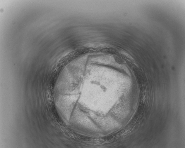 X0000061110966200512091813