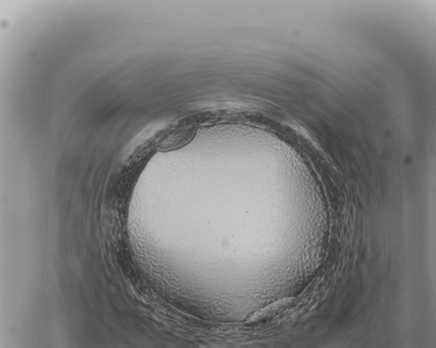 X0000061110967200512091813