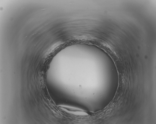 X0000061110968200512091813