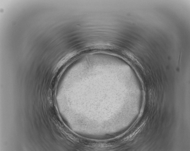 X0000061110970200512091813