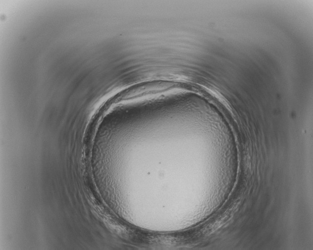 X0000061110971200512091813