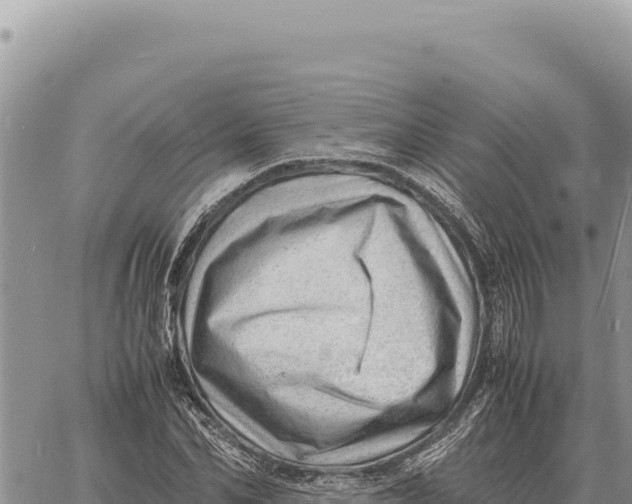 X0000061110974200512091813