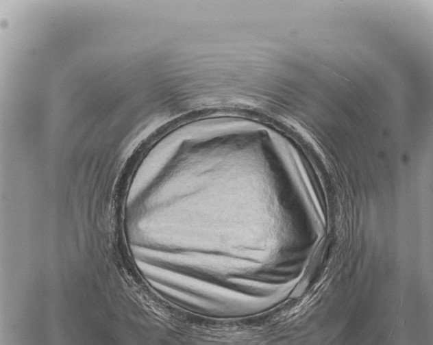 X0000061110975200512091813