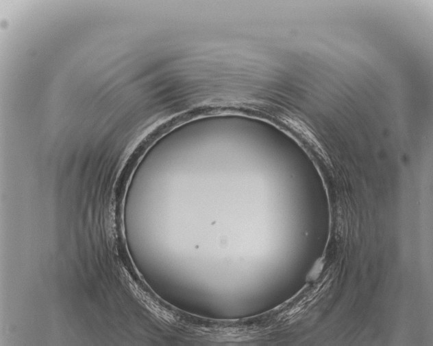 X0000061110976200512091813