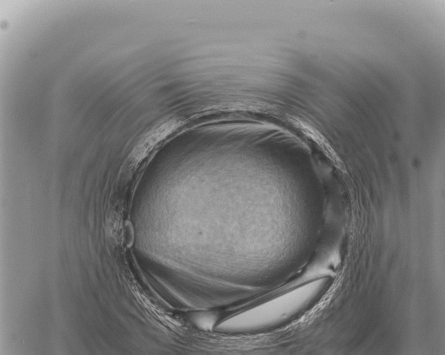 X0000061110977200512091813