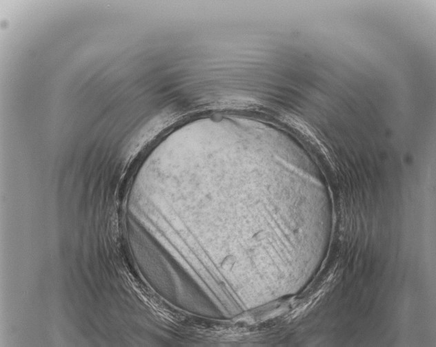 X0000061110978200512091813