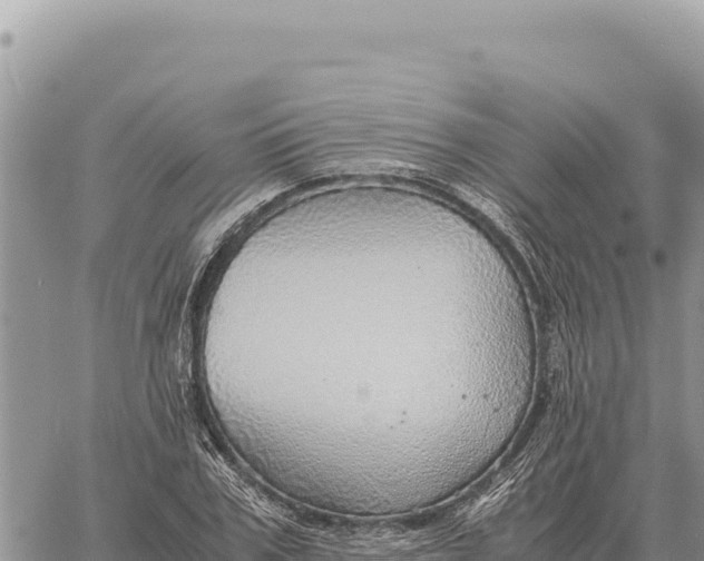 X0000061110979200512091813