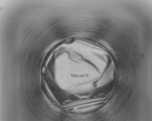 X0000061110980200512091813