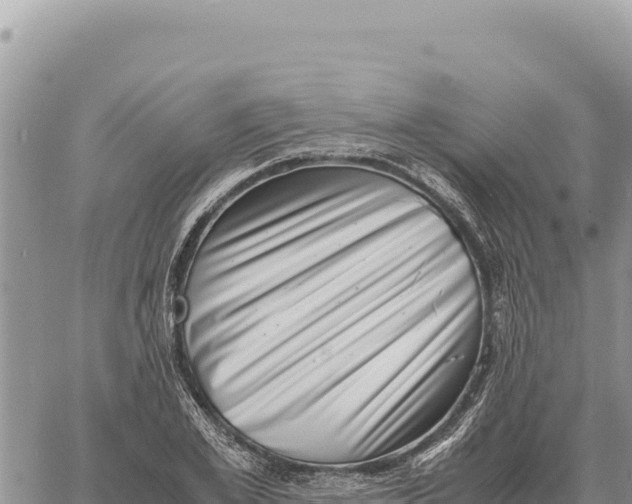 X0000061110981200512091813