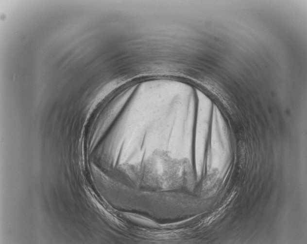 X0000061110982200512091813