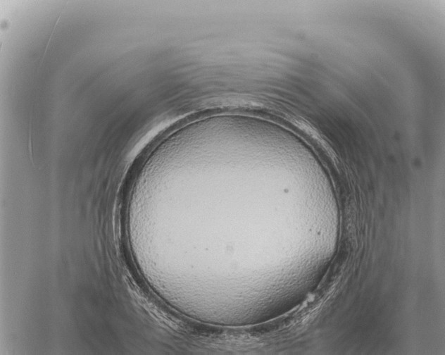 X0000061110983200512091813