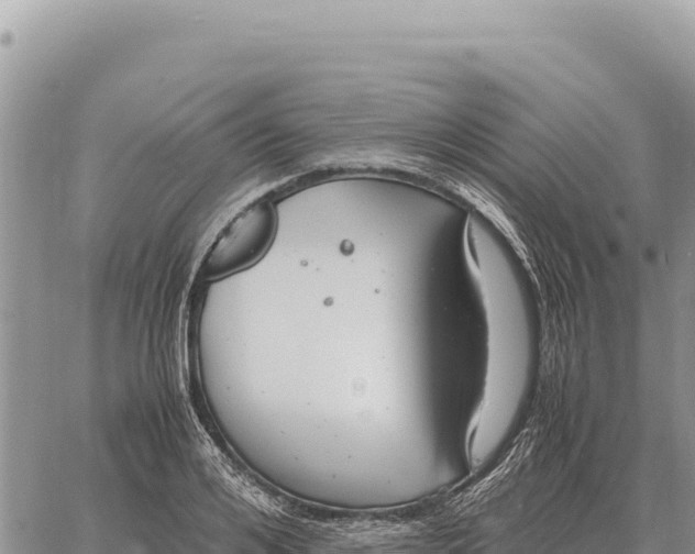 X0000061110984200512091813