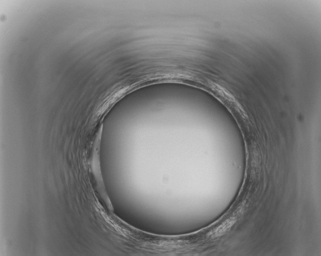 X0000061110985200512091813