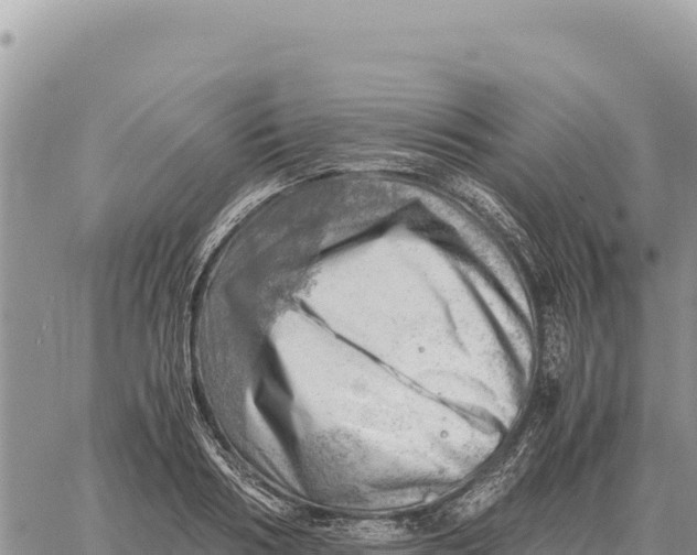 X0000061110986200512091813