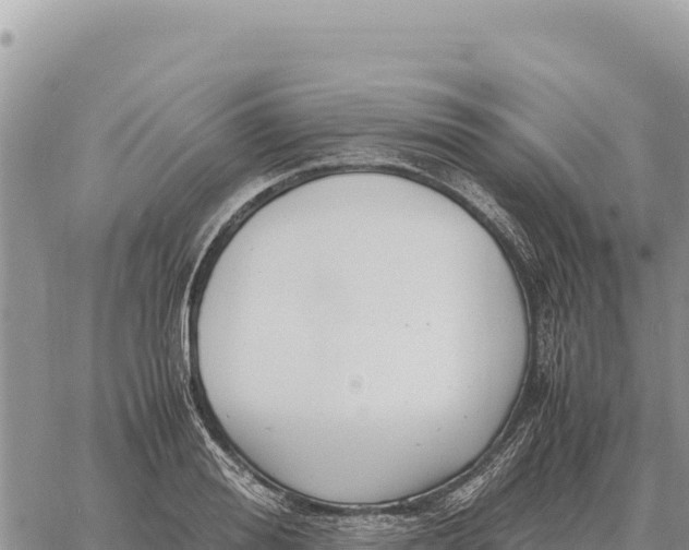 X0000061110988200512091812