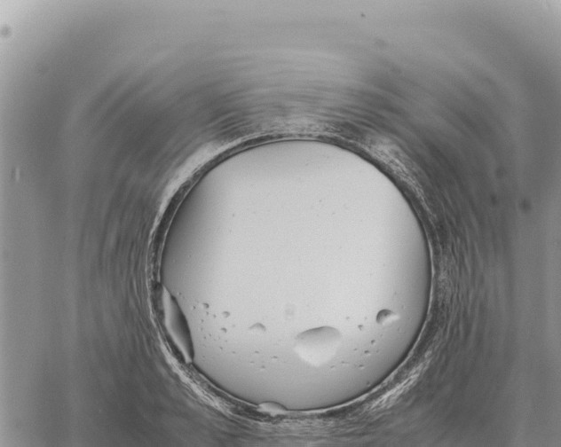 X0000061110989200512091812