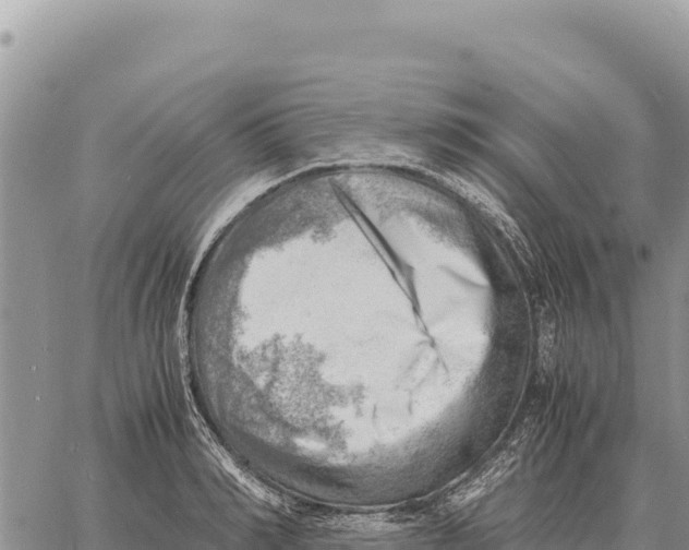 X0000061110990200512091812