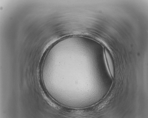 X0000061110991200512091812