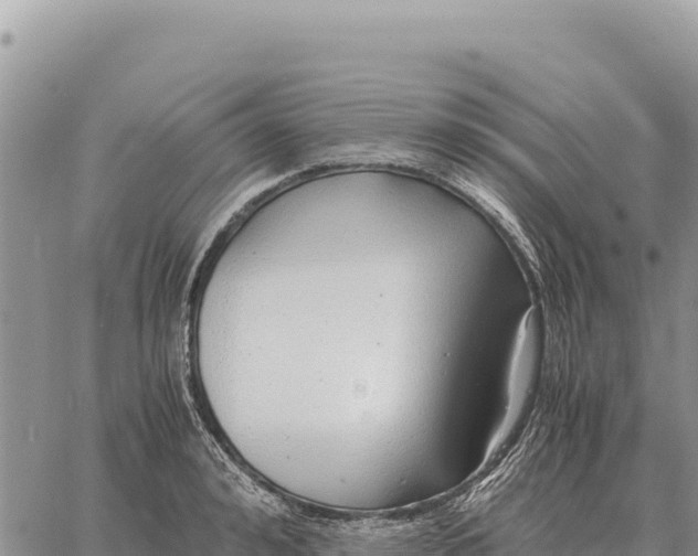 X0000061110992200512091812