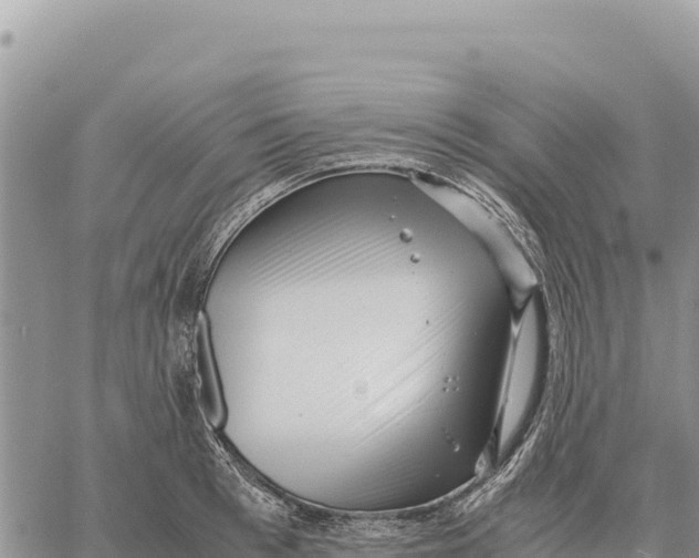 X0000061110993200512091812