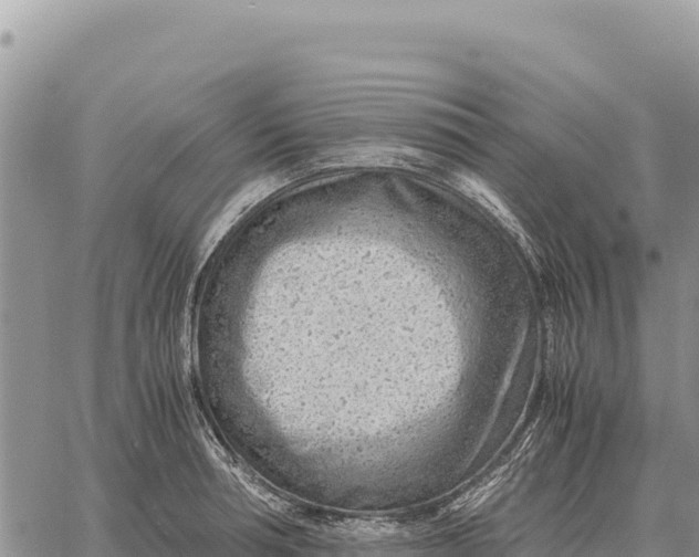 X0000061110994200512091812