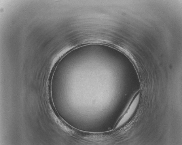 X0000061110995200512091812