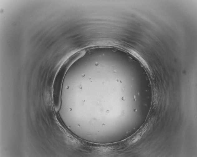 X0000061110996200512091812