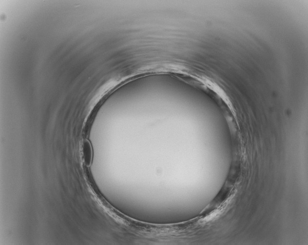 X0000061110997200512091812